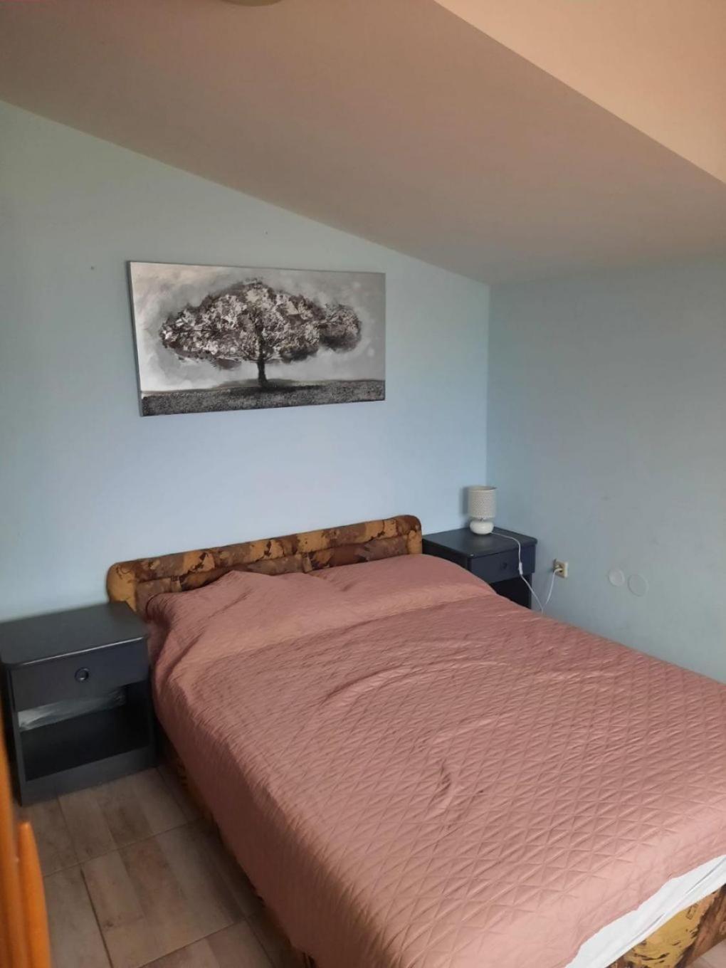 Apartments Visnja Nin Εξωτερικό φωτογραφία